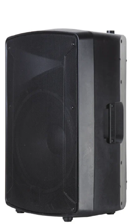 DM-12 12-Inch Passive PA Speaker
