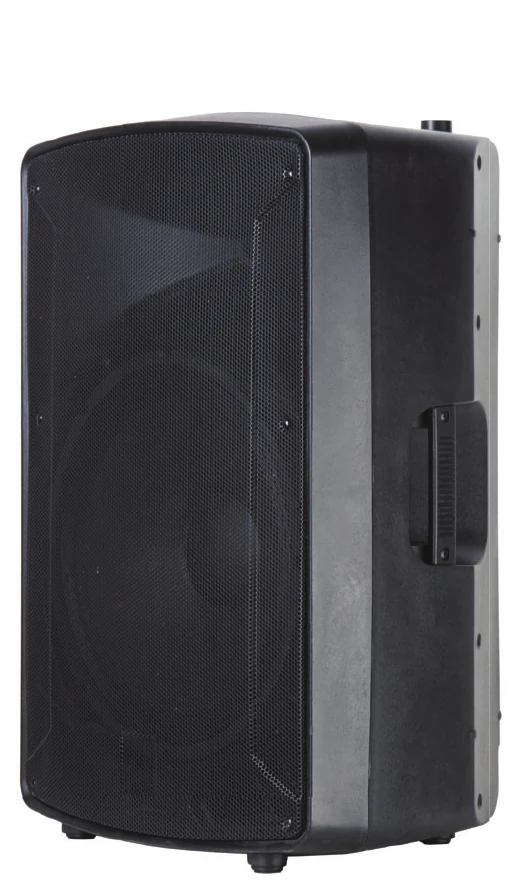 DM-12 12-Inch Passive PA Speaker